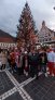 excursie-de-trei-zile-vizitarea-obiectivelor-turistice-culturale-si-istorice-de-pe-traseul-vasilati-sinaia-moieciu-de-jos-brasov